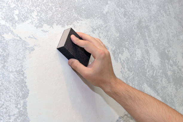 Best Basement Mold Removal  in Eaton Rapids, MI