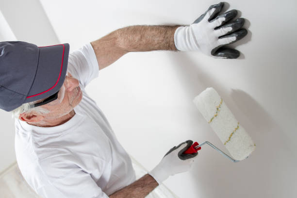 Best Dehumidification Services  in Eaton Rapids, MI