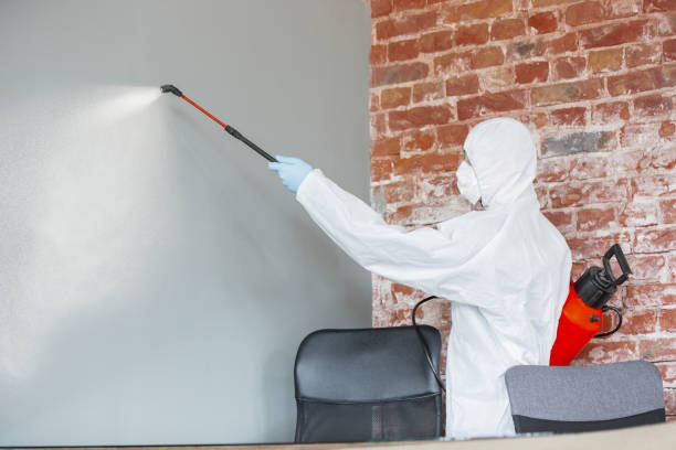 Best Emergency Mold Remediation  in Eaton Rapids, MI