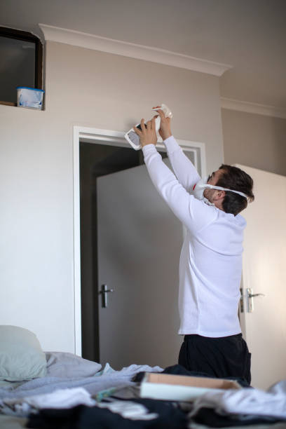 Best Commercial Mold Inspection  in Eaton Rapids, MI