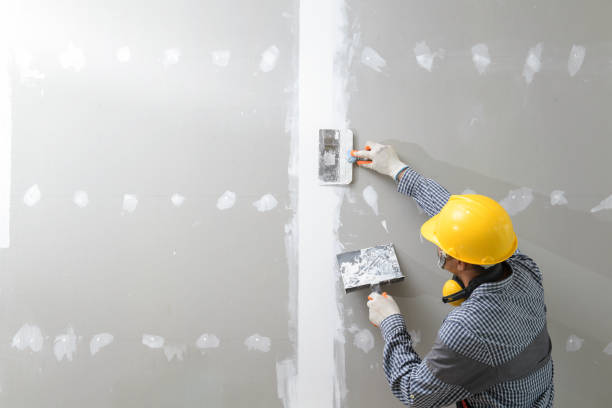 Best Black Mold Removal  in Eaton Rapids, MI