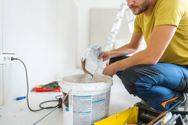 Best Mold Damage Restoration  in Eaton Rapids, MI