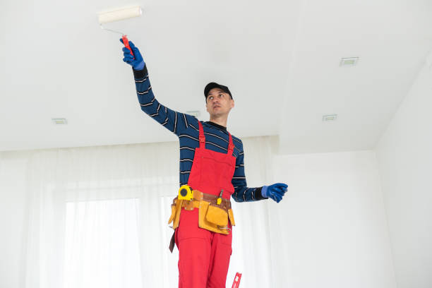 Best Indoor Air Quality Assessment  in Eaton Rapids, MI