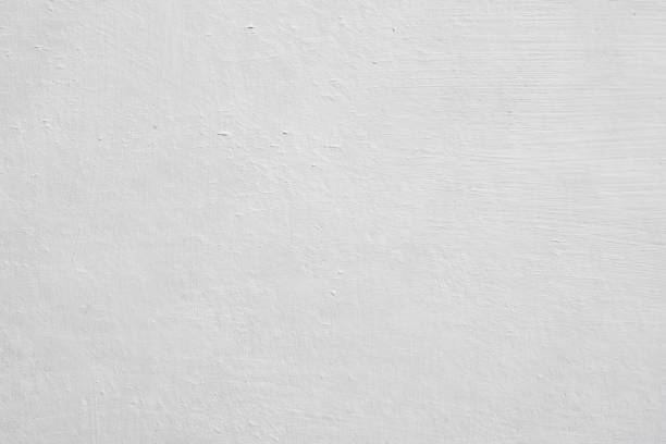 Professional Mold Removal in Eaton Rapids, MI