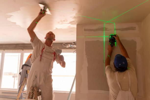 Best Air Quality Testing for Mold Spores  in Eaton Rapids, MI