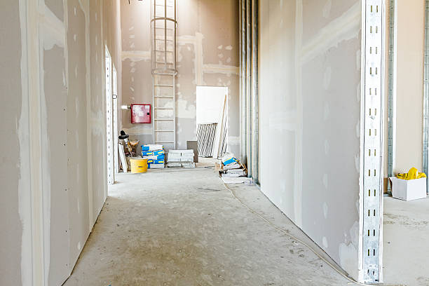 Forensic Mold Investigation in Eaton Rapids, MI