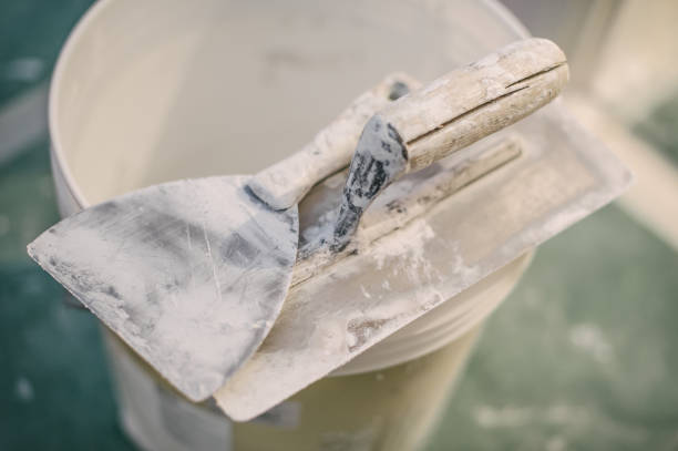 Best Industrial Mold Remediation  in Eaton Rapids, MI